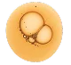 Keratin